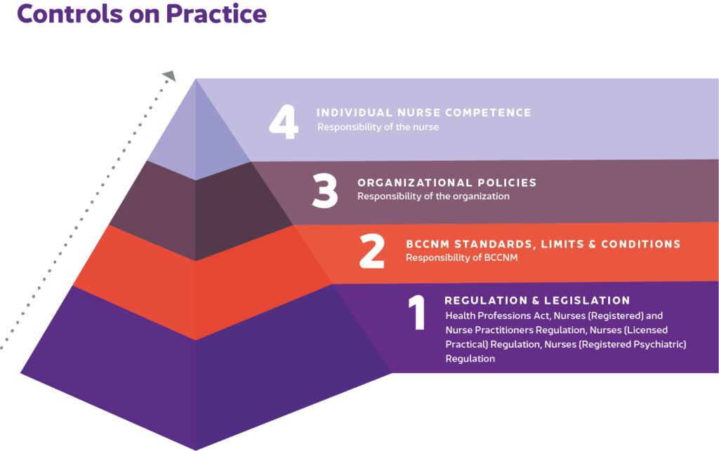 Controls on Practice-BCCNM-Nurse Compass-Team-Based Care BC